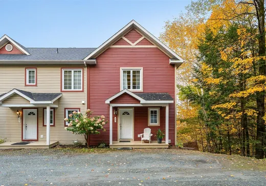 Maison à vendre - 23 Rue des Quatre-Vents, Magog, J1X 7P1