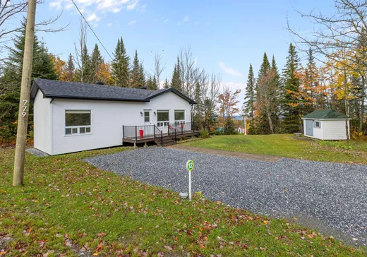 House for sale - 120 Rue René-Lehoux, Saint-Severin-de-Beauce, G0N 1V0