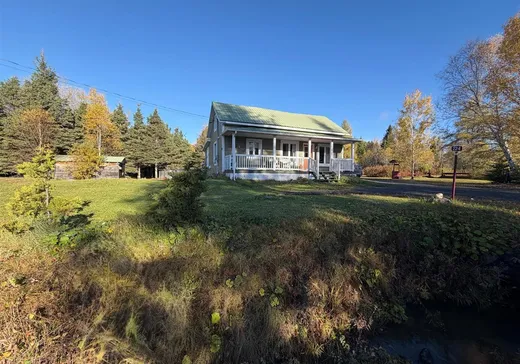 Maison à étages à vendre - 224 12e Rang, Lac-Etchemin, G0R1S0