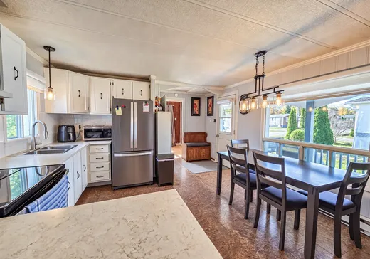 Loft à vendre - 53 Rue Santerre, Lachute, J0V 1X0