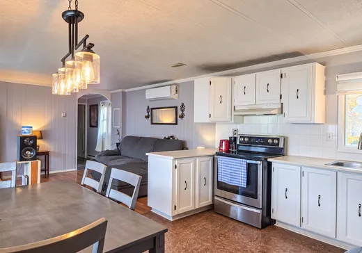 Loft à vendre - 53 Rue Santerre, Lachute, J0V 1X0