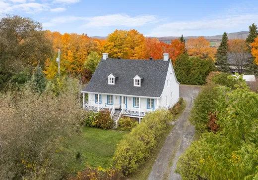 Maison à vendre - 1623 Ch. Royal, Saint-Pierre, G0A 4E0
