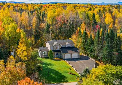 Maison à étages à vendre - 959 Rue Frédéric-Doyon, Sherbrooke, J1R0T1