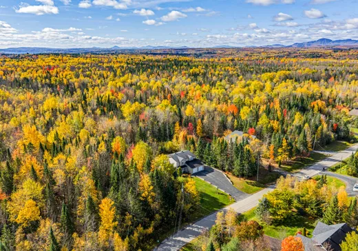 Maison à vendre - 959 Rue Frédéric-Doyon, Sherbrooke, J1R 0T1