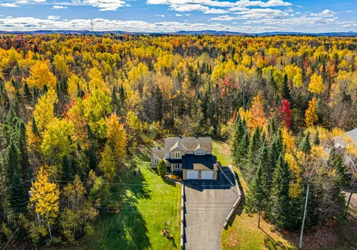Maison à vendre - 959 Rue Frédéric-Doyon, Sherbrooke, J1R 0T1