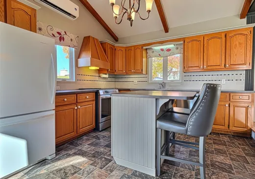 House for sale - 860 Av. des Bouleaux, Plessisville, G6L 3N3