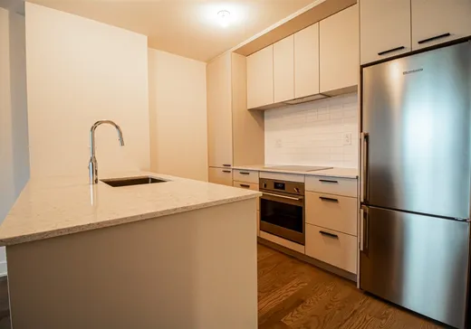 Condo à vendre - 1150 Boul. René-Lévesque E., App. 918, Montréal (Centreville), H2L 0J6