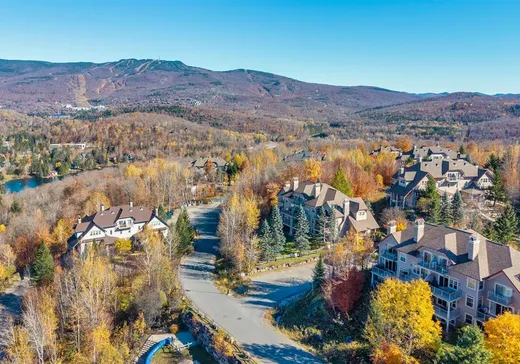 Condo à vendre - 215 Rue du Mont-Plaisant, App. 1, Mont-Tremblant, J8E 1L2
