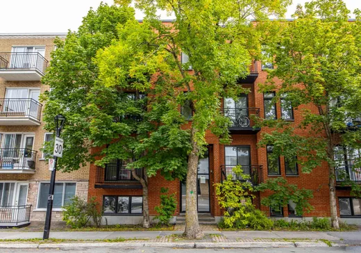 Condo à vendre - 3870 Rue Masson, Montréal (Rosemont–La Petite-Patrie), H1X 1T1