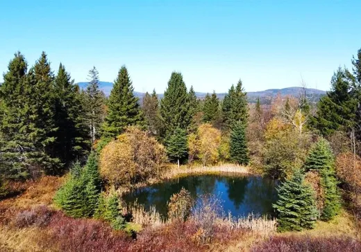 Fermette à vendre - 36 10e Rang O., Notre-Dame-Des-Boies, J0B 2E0