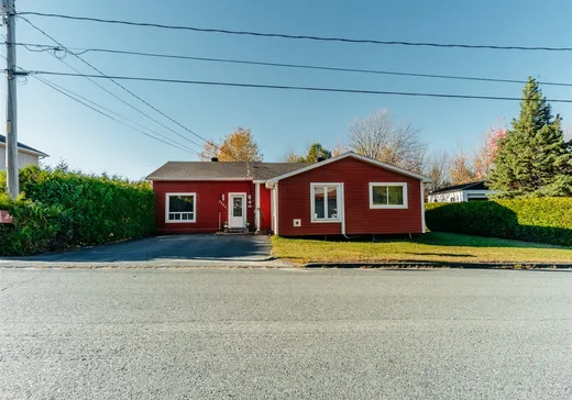 House for sale - 2453 Rue St-Jean, Frontenac, G6B 2S1