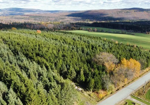 Hobby Farm for sale - 370 Route Beaulieu, Irlande, G6H 0G7