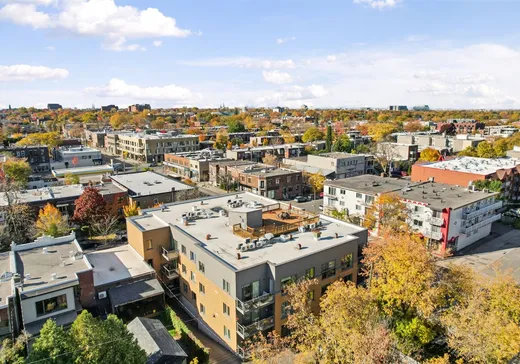 Condo for sale - 2560 Rue Bélanger, App. 208, Montreal (Rosemont–La Petite-Patrie), H1Y 1A4