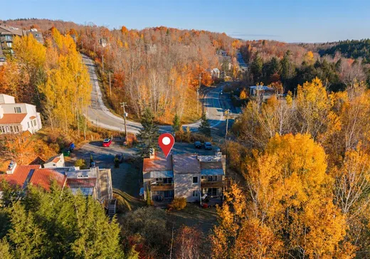 Condo for sale - 64 Rue de la Grande-Coulée, Magog, J1X 6Z6