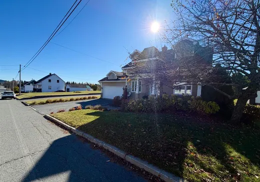 Maison à vendre - 184 Rue Principale, Saint-Luc-de-Bellechasse, G0R 1L0