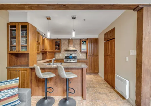 Condo à vendre - 160 Côte du Colonel-Dambourgès, App. 118, Ville de Québec, G1K 8L5