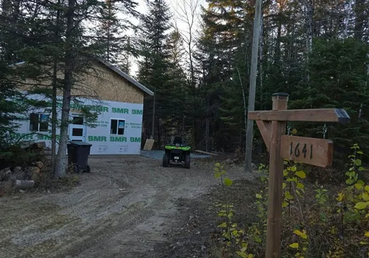 Maison à vendre - 1641 Rg du Lac-Caché, St-Alexis-Des-Monts, J0K 1V0