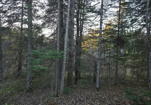 Maison à vendre - 1641 Rg du Lac-Caché, St-Alexis-Des-Monts, J0K 1V0