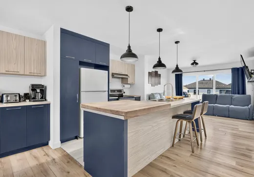 Maison à vendre - 50 Rue des Poiriers, Pont-Rouge, G3H 0M8