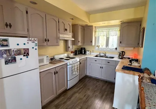 House for sale - 37 Rue des Trois-Lacs, Plessisville, G6L 4A1