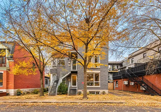 Condo à vendre - 715 Av. Laporte, App. 2, Montréal (Centreville), H4C2P4