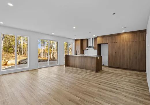 Maison à vendre - 1070 Rue du Marquette, Chertsey, J0K 3K0