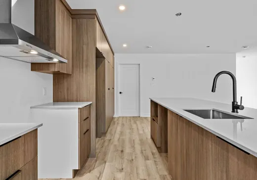 Maison à vendre - 1070 Rue du Marquette, Chertsey, J0K 3K0