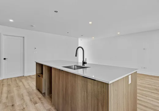 Maison à vendre - 1070 Rue du Marquette, Chertsey, J0K 3K0